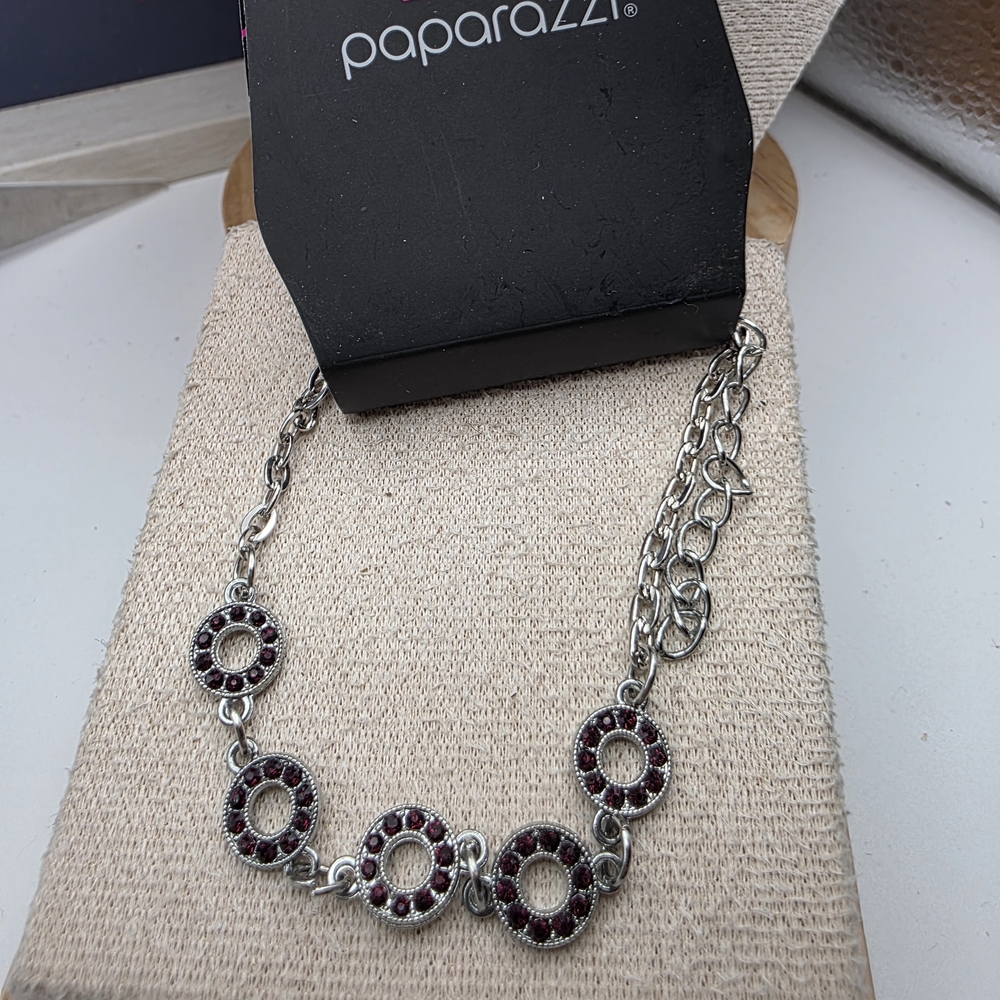 Paparazzi Silver Necklace with Purple Accents (524)